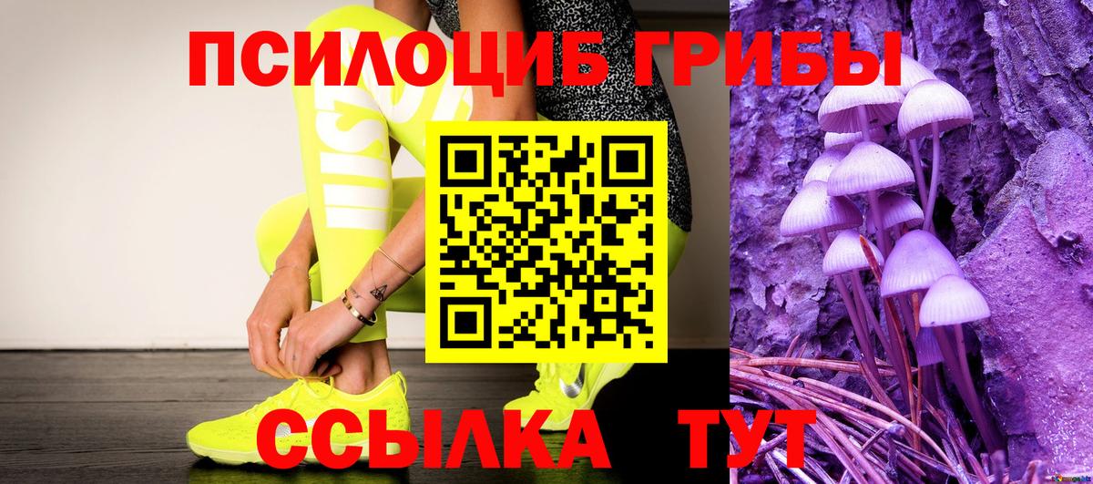 Галлюциногенные грибы Psilocybe Нововоронеж